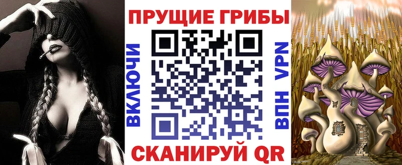 Псилоцибиновые грибы GOLDEN TEACHER  это какой сайт  Свирск  blacksprut рабочий сайт 